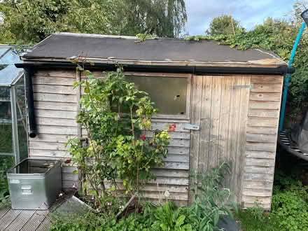 Photo of free 10’ x 6’ wooden shed (Hitchin Ninesprings.) #1