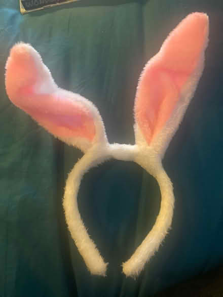 Photo of free Bunny ears (West Malling ME19 6) #1