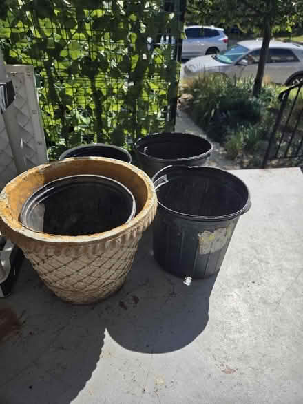 Photo of free Various plant pots (Park View - Colombia Heights) #1