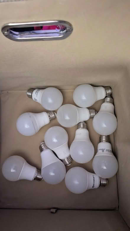 Photo of free LED bulbs and storage box (Berwyn Heights) #1