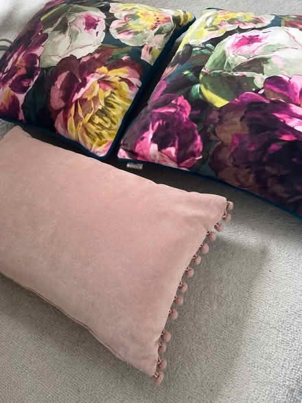 Photo of free Cushions (St Margarets TW1) #2