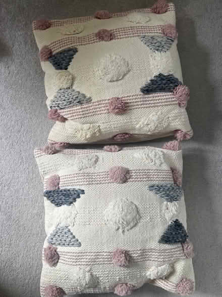 Photo of free Next cushions (St Margarets TW1) #1