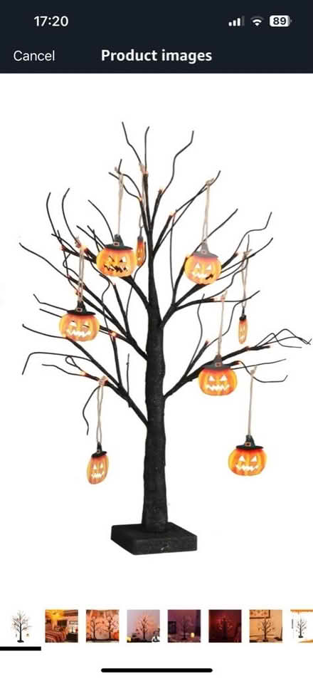 Photo of Decorative tree. (Farnley LS12) #1