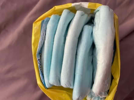 Photo of free Swim nappies (Woking) #2