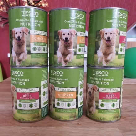 Photo of free Adult Dog Food (Lower Stondon SG16) #1