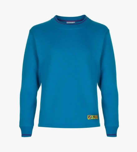 Photo of Beavers 28 (Penwortham PR1) #1