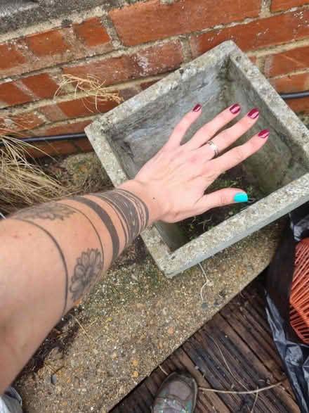 Photo of free Pot (BN3) #1