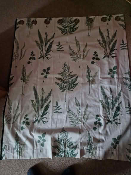 Photo of free Single curtain (Stafford ST18) #1