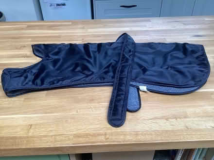 Photo of free Dog coat (Linton HR9 7RY) #1