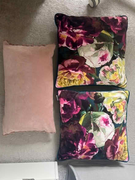Photo of free Cushions (St Margarets TW1) #1