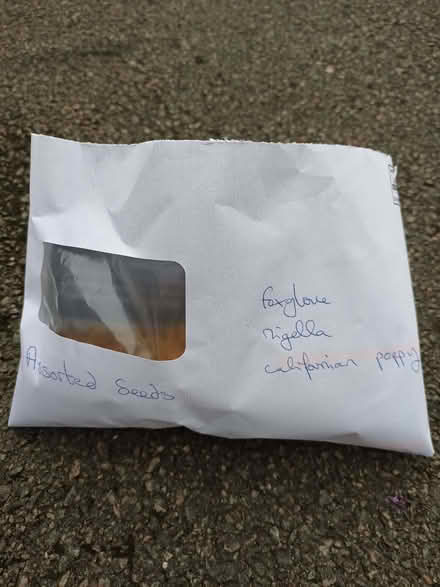 Photo of free Assorted seed mix (Hockley Port B18) #1