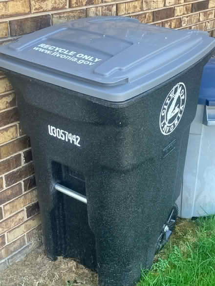 Photo of free City of Livonia Recycle Cart (Livonia) #1