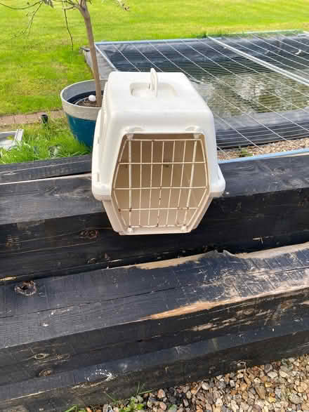 Photo of free Plastic Pet carrier (High Wycombe HP11) #1