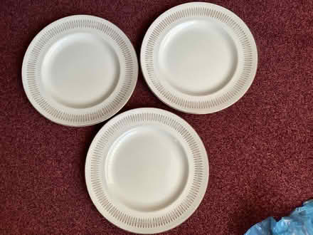 Photo of free 3 dinner plates (Little Lever BL3) #1