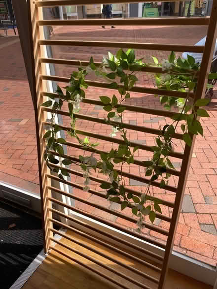 Photo of free Decorative rail with plastic plant (CV21 Rugby) #2