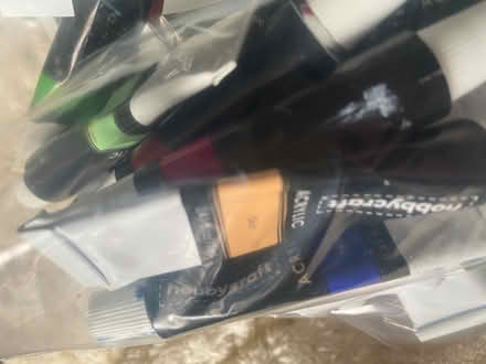 Photo of free Acrylic paint (West Malling ME19 6) #2