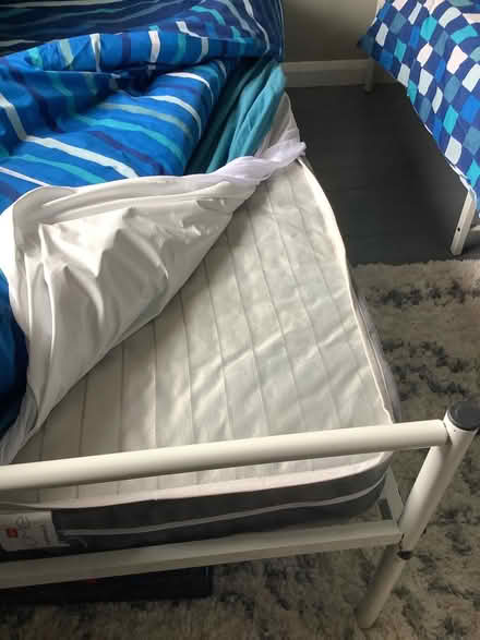 Photo of free Single mattresses X2 (Norwich) #1