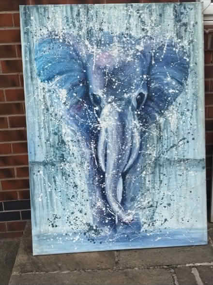 Photo of free Large elephant canvas (Wybourn S2) #1