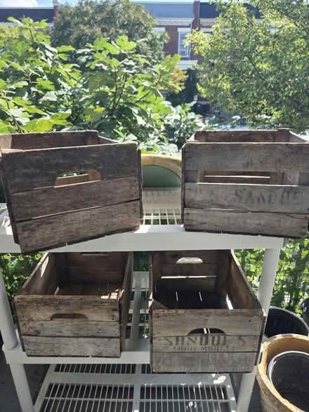 Photo of free 4 vintage wood fruit boxes (Park View - Colombia Heights) #1