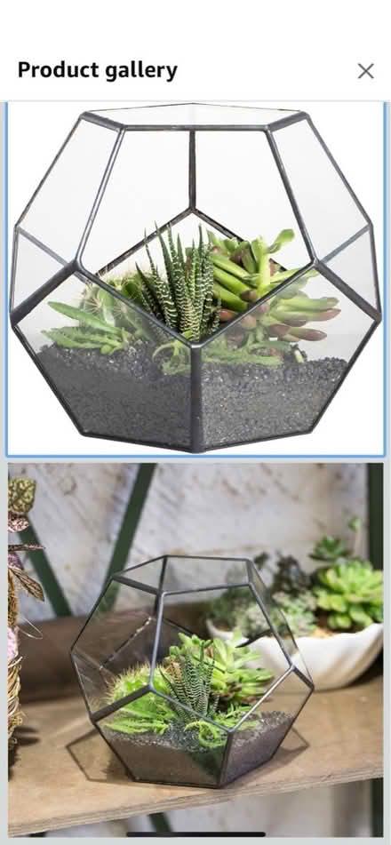 Photo of free Glass terrarium (RH13) #2