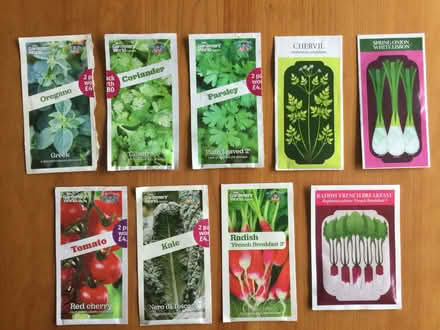 Photo of free Flower and veggie/herb seeds (Coombe Dingle BS9) #1