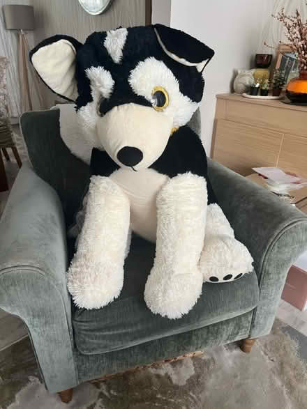 Photo of free Large soft toy (Ramsgate CT11) #1