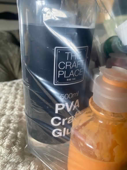 Photo of free Craft paints and PVA glue (West Malling ME19 6) #2