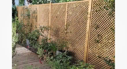 Photo of Trellises (Wimbledon SW19) #1