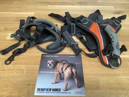 Photo of free Dog harness (Linton HR9 7RY) #1