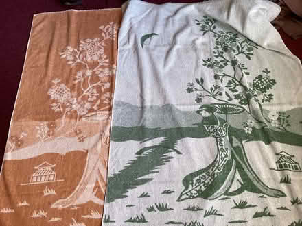 Photo of free 2 large bath size towels (Little Lever BL3) #1