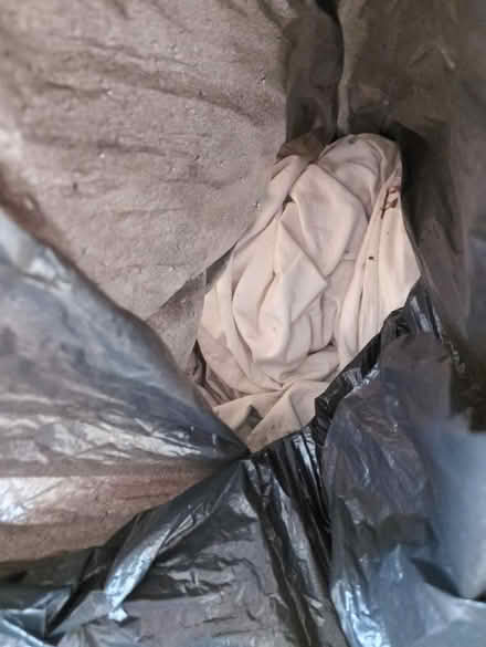 Photo of free Bag of big rags (AL1) #1