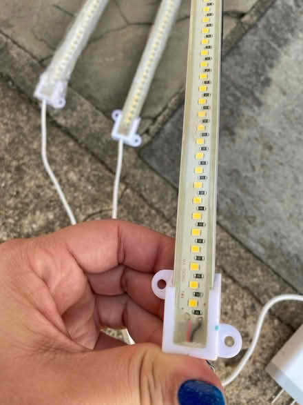 Photo of free Plant grow lights (Near Ft. Totten Park) #3