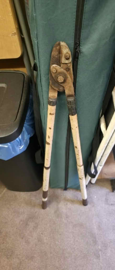 Photo of free Branch cutters (Farnborough) #1