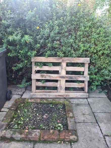 Photo of free Wood pallet (Wood green) #1