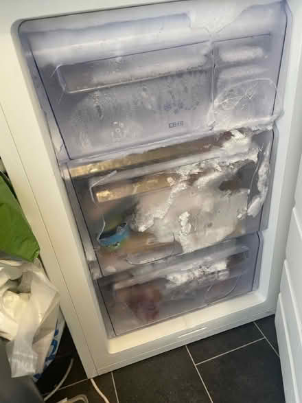 Photo of free Mini freezer (Hackney Central/Hackney Wick) #3