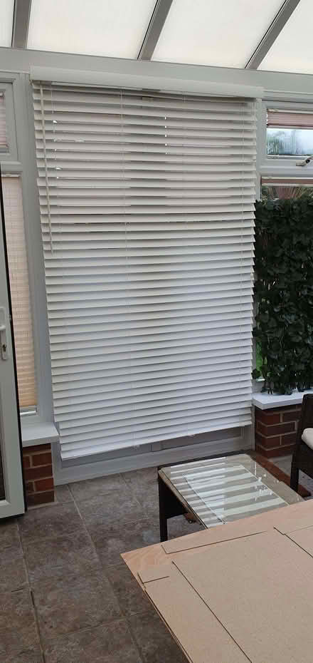 Photo of free Venetian blind - white (Broadwater BN14) #1