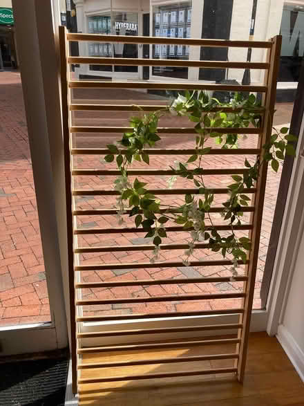 Photo of free Decorative rail with plastic plant (CV21 Rugby) #1