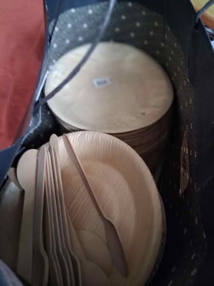 Photo of free Disposable bamboo tableware (Deckham NE9) #1