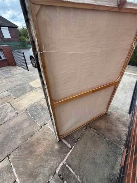 Photo of free Large elephant canvas (Wybourn S2) #3