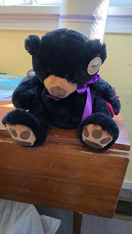 Photo of free Teddy bear (Lake city area) #1