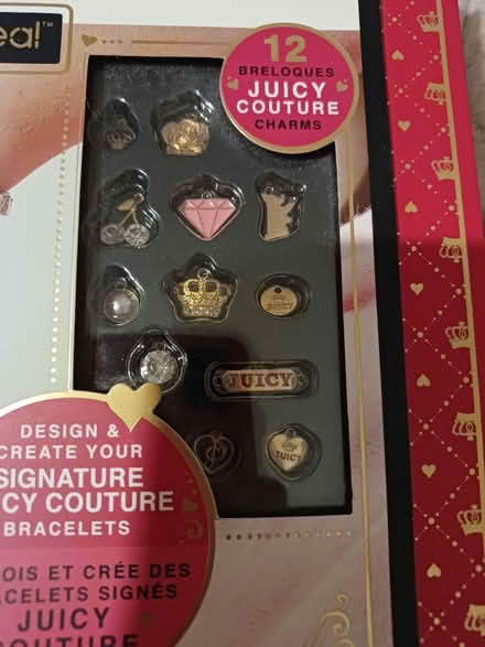 Photo of free New Juicy Couture Bracelet charms kit (Malvern Link WR14) #3