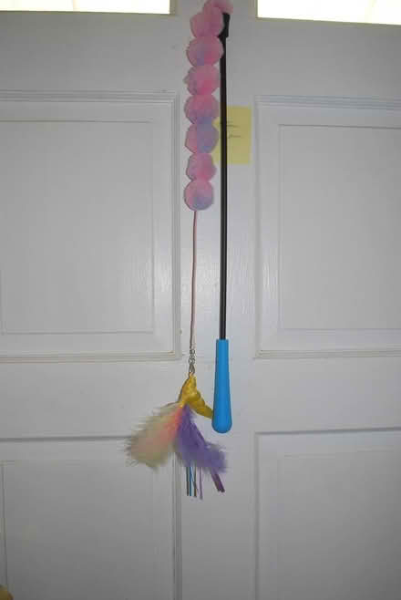 Photo of free Cat wand/toy (gatineau ave & de bourgogne st) #1