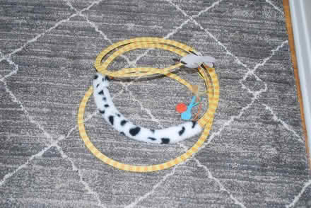 Photo of free Cat toy (gatineau ave & de bourgogne st) #2