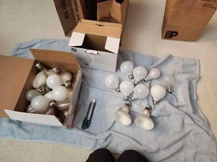 Photo of free Incandescent Bulbs (various types) (Palo Alto (Barron Park)) #2
