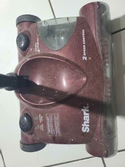Photo of free Shark (Mississauga Ontario Canada) #1