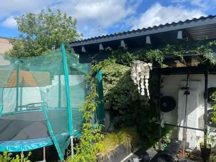 Photo of free 12.5 ft Trampoline (Clontarf) #3