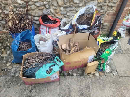 Photo of free Kindling and firewood (Wells-next-the-Sea NR23) #1
