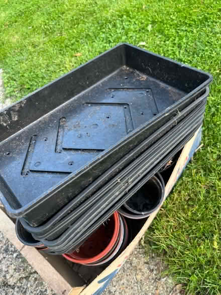 Photo of free Plastic garden pots and trays (Sands, High Wycombe) #2