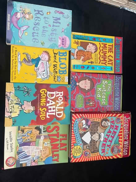 Photo of free Older children books (Chessington KT9) #1