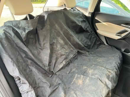 Photo of free Back seat car cover (Hitchin Herts) #2
